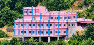 वालिङ नगर अस्पतालको आर्थिक वहन नगर्ने गण्डकी सरकारको निर्णयले विवाद